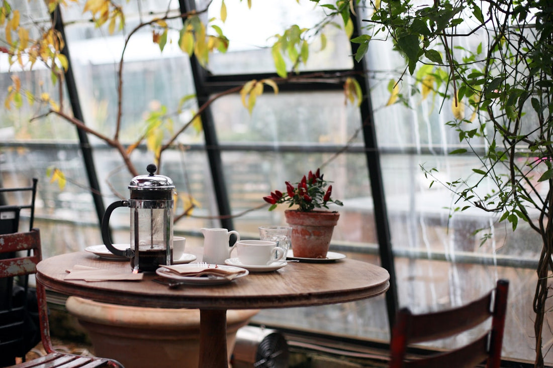 Bright interior of an Australian specialty coffee cafe with natural light