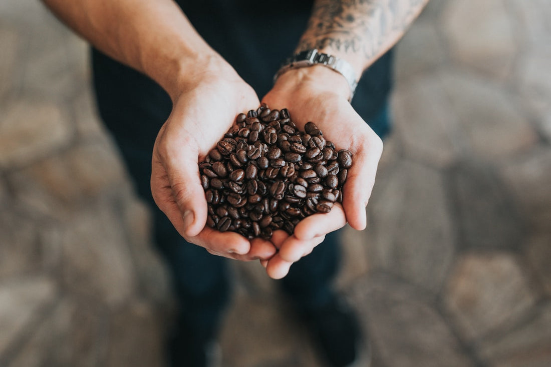 Close-up of freshly roasted coffee beans ready for brewing