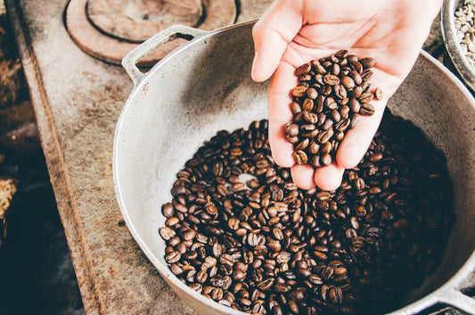 Freshly roasted coffee beans cooling in a steel tray after roasting