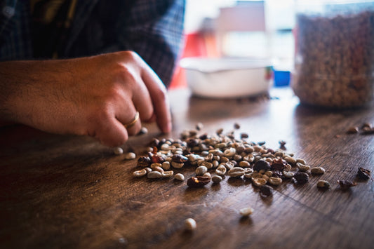 Person hand-sorting coffee beans on a wooden table at a Colombian coffee farm