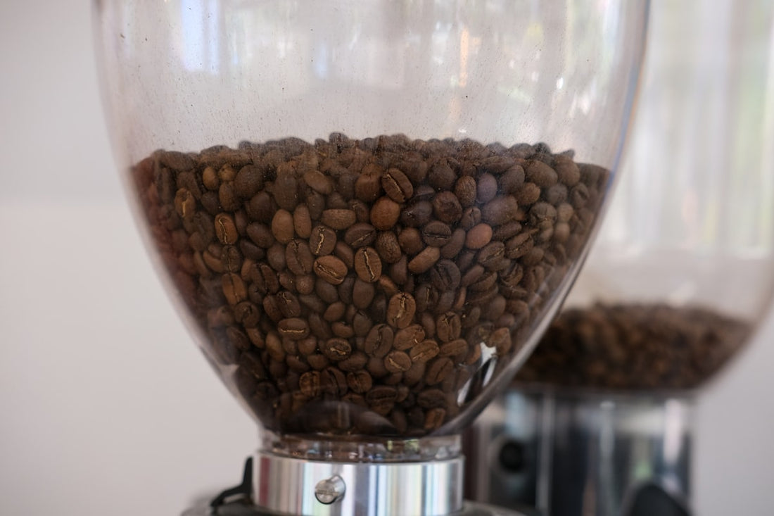 Roasted coffee beans sitting inside a coffee grinder hopper ready to be ground