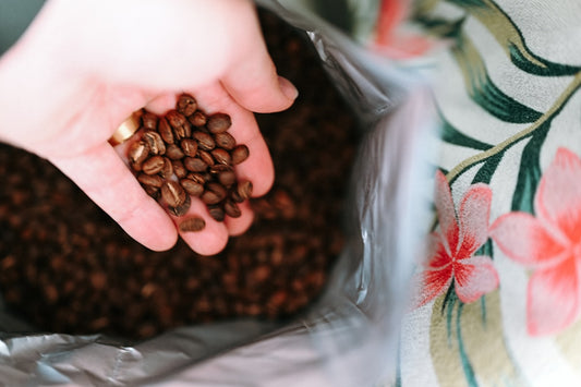 A handful of roasted coffee beans held over a craft paper bag